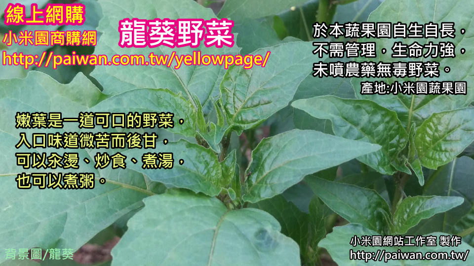 【線上網購】龍葵野菜~產地:小米園蔬果